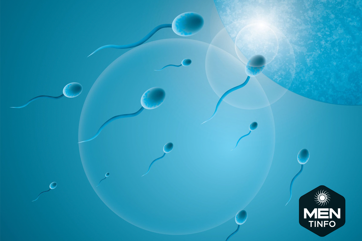 quan-diem-tinh-trung-yeu