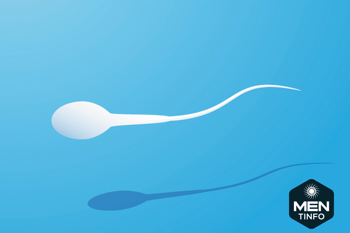 chat-luong-tinh-trung