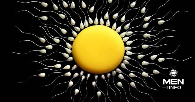 chat-luong-tinh-trung