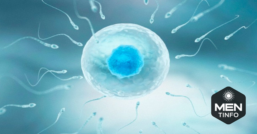 tang-chat-luong-tinh-trung