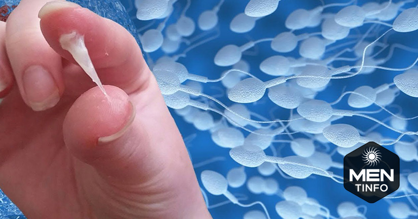 cach-xac-dinh-chat-luong-tinh-trung-2