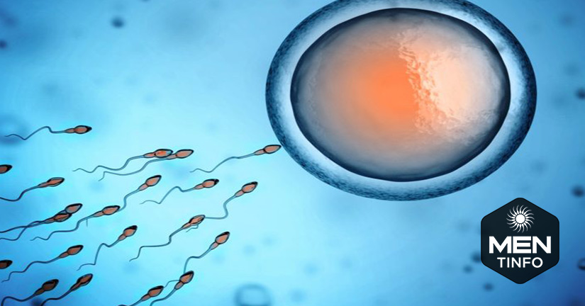 tang-chat-luong-tinh-trung