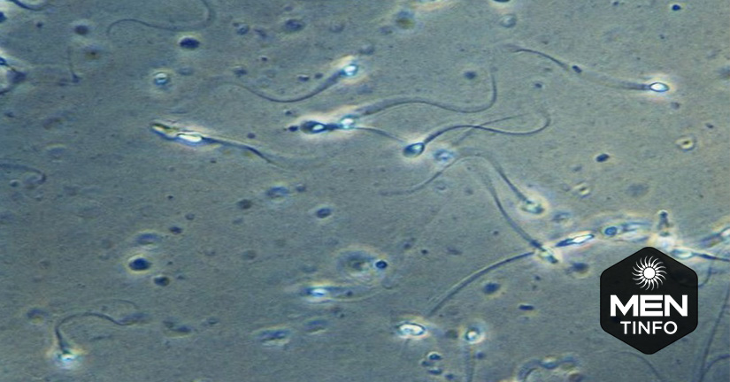 tang-chat-luong-tinh-trung