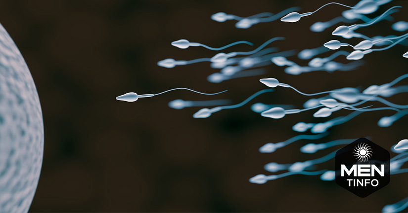 chat-luong-tinh-trung-2