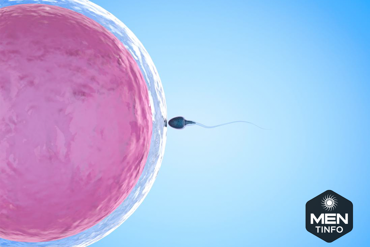 Không ngờ có thể tìm lại bí quyết giữ lửa “hạnh phúc” để gia đình êm ấm